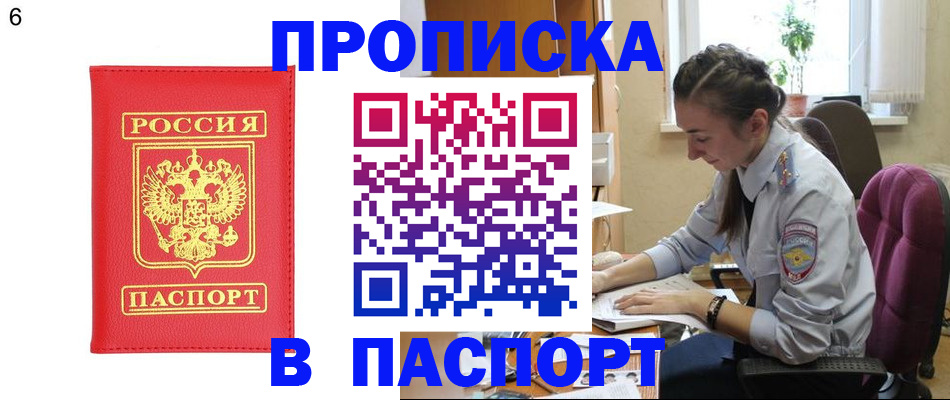 прописка гарантия в Черногорске